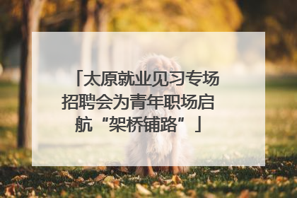 太原就业见习专场招聘会为青年职场启航“架桥铺路”