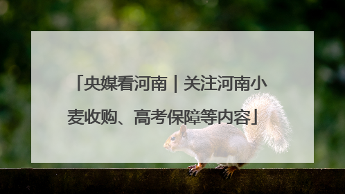 央媒看河南｜关注河南小麦收购、高考保障等内容