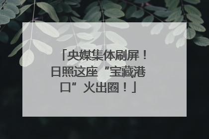 央媒集体刷屏！日照这座“宝藏港口”火出圈！