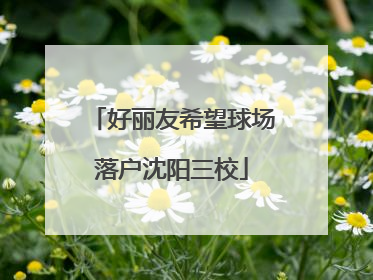 好丽友希望球场落户沈阳三校