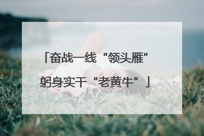 奋战一线“领头雁” 躬身实干“老黄牛”