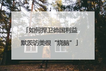 如何捍卫德国利益 默茨访美很“烧脑”