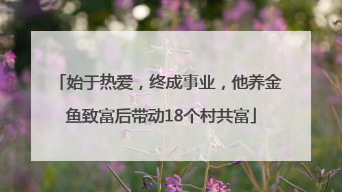 始于热爱，终成事业，他养金鱼致富后带动18个村共富