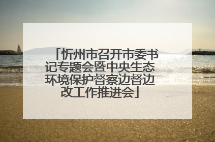 忻州市召开市委书记专题会暨中央生态环境保护督察边督边改工作推进会