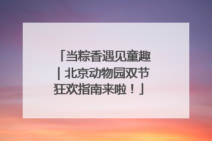 当粽香遇见童趣｜北京动物园双节狂欢指南来啦！