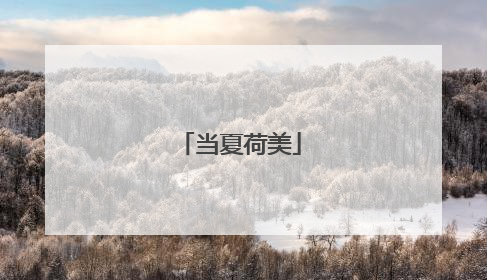 当夏荷美
