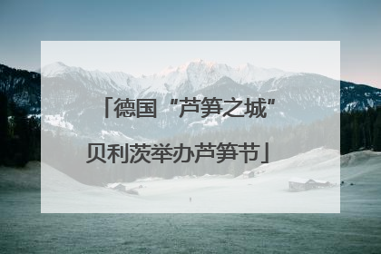 德国“芦笋之城”贝利茨举办芦笋节