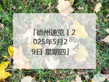 德州速览丨2025年5月29日 星期四