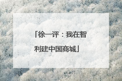徐一评：我在智利建中国商城