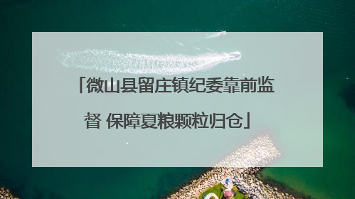 微山县留庄镇纪委靠前监督 保障夏粮颗粒归仓