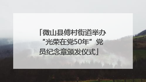 微山县傅村街道举办“光荣在党50年”党员纪念章颁发仪式