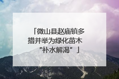 微山县赵庙镇多措并举为绿化苗木“补水解渴”