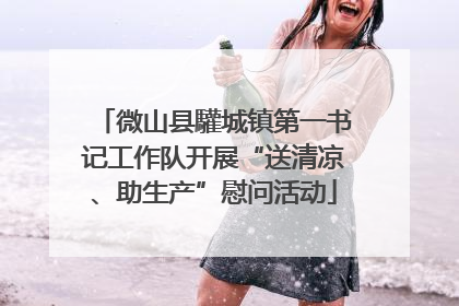 微山县驩城镇第一书记工作队开展“送清凉、助生产”慰问活动