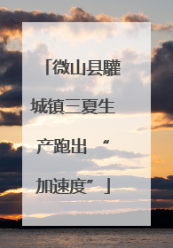 微山县驩城镇三夏生产跑出 “加速度”