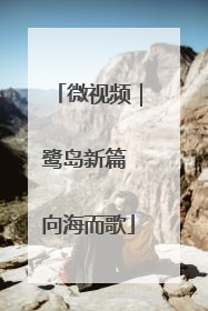 微视频｜鹭岛新篇 向海而歌
