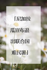 尼加拉瓜宣布退出联合国难民署