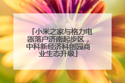 小米之家与格力电器落户济南起步区，中科新经济科创园商业生态升级