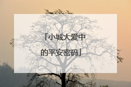 小城大爱中的平安密码