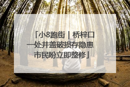小8跑街｜桥梓口一处井盖破损存隐患 市民盼立即整修