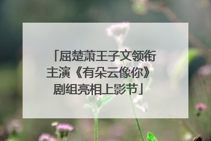 屈楚萧王子文领衔主演《有朵云像你》剧组亮相上影节