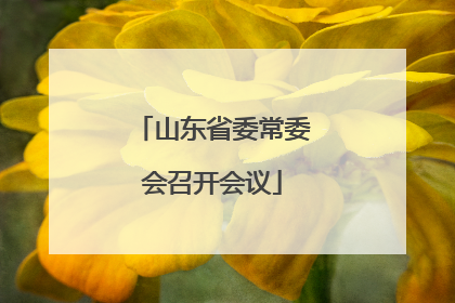 山东省委常委会召开会议