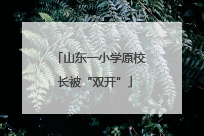 山东一小学原校长被“双开”