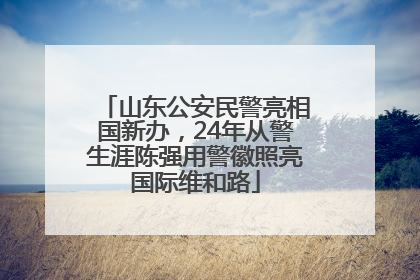 山东公安民警亮相国新办，24年从警生涯陈强用警徽照亮国际维和路