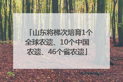 山东将梯次培育1个全球农遗、10个中国农遗、46个省农遗