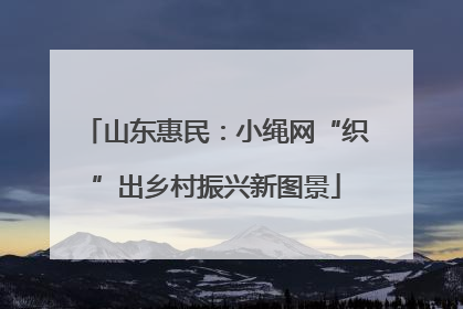 山东惠民：小绳网“织”出乡村振兴新图景