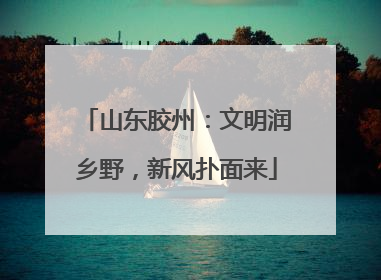 山东胶州：文明润乡野，新风扑面来