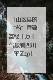 山区县的“药”香致富经丨万千气象看四川·平武③