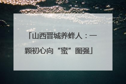 山西晋城养蜂人：一颗初心向“蜜”图强