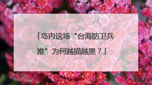 岛内这场“台海防卫兵推”为何越描越黑？