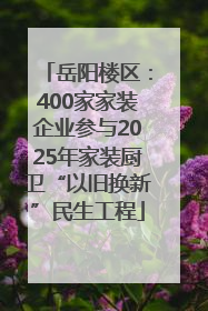岳阳楼区：400家家装企业参与2025年家装厨卫“以旧换新”民生工程