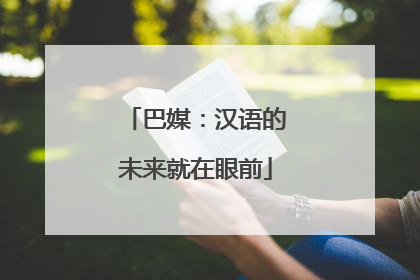 巴媒：汉语的未来就在眼前