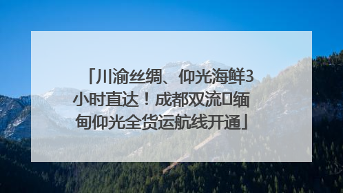川渝丝绸、仰光海鲜3小时直达！成都双流⇌缅甸仰光全货运航线开通