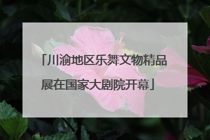 川渝地区乐舞文物精品展在国家大剧院开幕