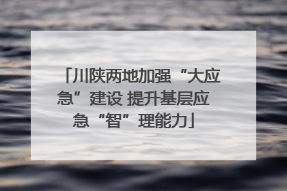 川陕两地加强“大应急”建设 提升基层应急“智”理能力