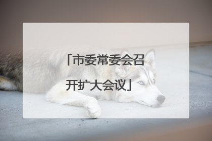 市委常委会召开扩大会议