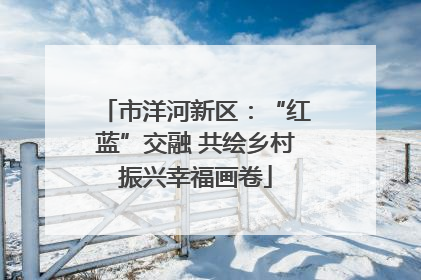 市洋河新区：“红蓝”交融 共绘乡村振兴幸福画卷