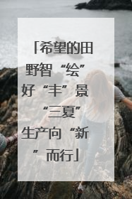 希望的田野智“绘”好“丰”景 “三夏”生产向“新”而行