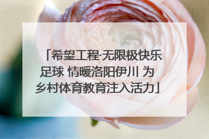 希望工程·无限极快乐足球 情暖洛阳伊川 为乡村体育教育注入活力