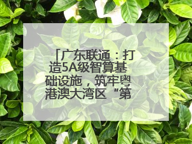 广东联通:打造5A级智算基础设施,筑牢粤港澳大湾区“第一算力引擎”