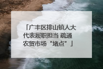广丰区排山镇人大代表履职担当 疏通农贸市场“堵点”