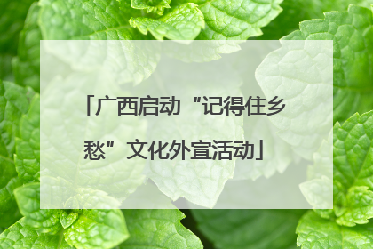 广西启动“记得住乡愁”文化外宣活动