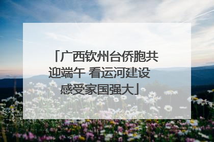 广西钦州台侨胞共迎端午 看运河建设感受家国强大