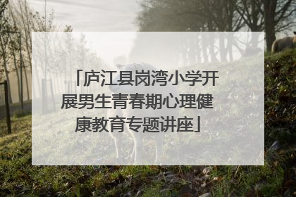 庐江县岗湾小学开展男生青春期心理健康教育专题讲座