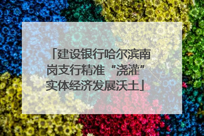 建设银行哈尔滨南岗支行精准“浇灌”实体经济发展沃土