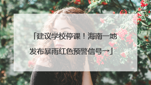 建议学校停课！海南一地发布暴雨红色预警信号→