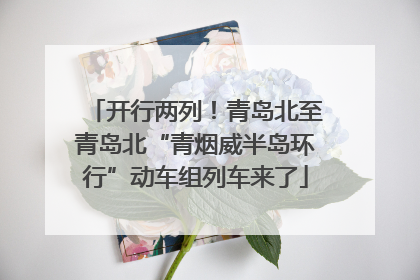 开行两列！青岛北至青岛北“青烟威半岛环行”动车组列车来了